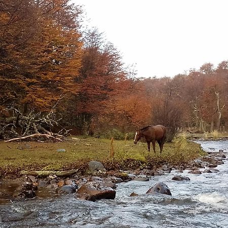 Bosque Holistico Del Fin Del Mundo 호텔 우수아이아 객실 사진