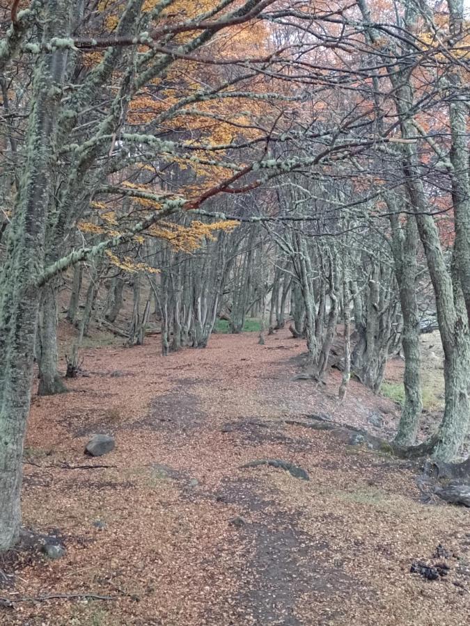 Bosque Holistico Del Fin Del Mundo 호텔 우수아이아 외부 사진